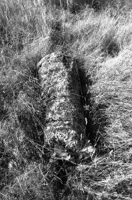 img142.jpg